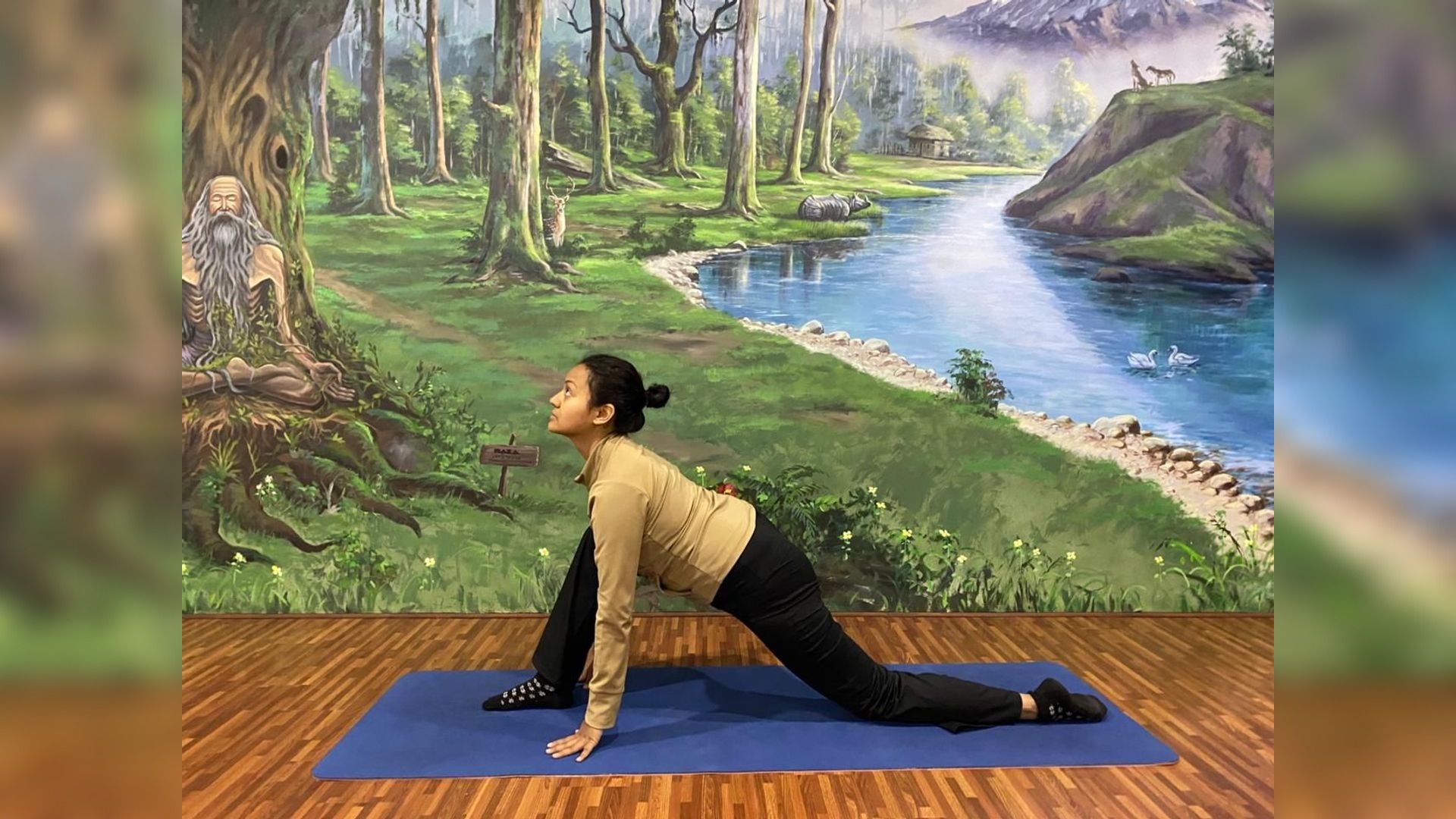 Ashwa Sanchalanasana/ Equestrian Pose